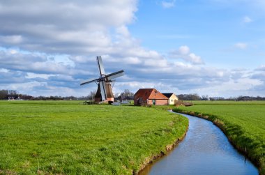yeşil otlaklar üzerinde büyüleyici Hollanda Yeldeğirmeni