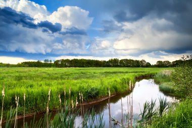 nehir üzerinde güzel doğa