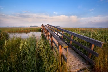 ahşap köprü Nehri üzerinde bisiklet