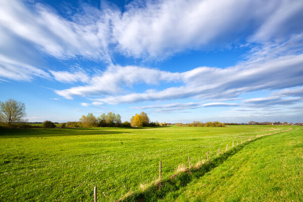 summer grassland and blue sky