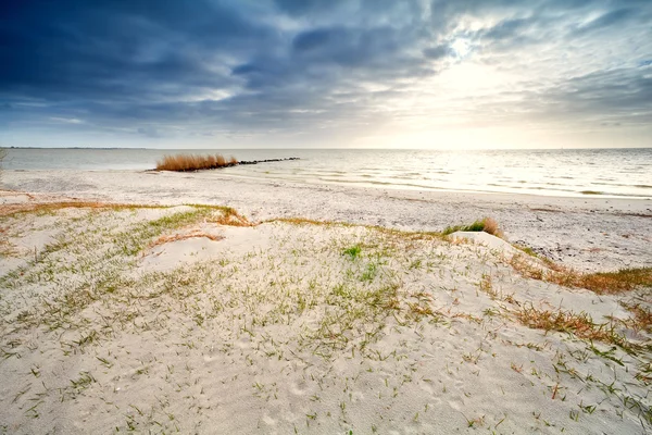 Piasek wybrzeża przez ijsselmeer, hindeloopen — Zdjęcie stockowe