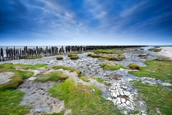 Dno Severního moře při odlivu — Stock fotografie