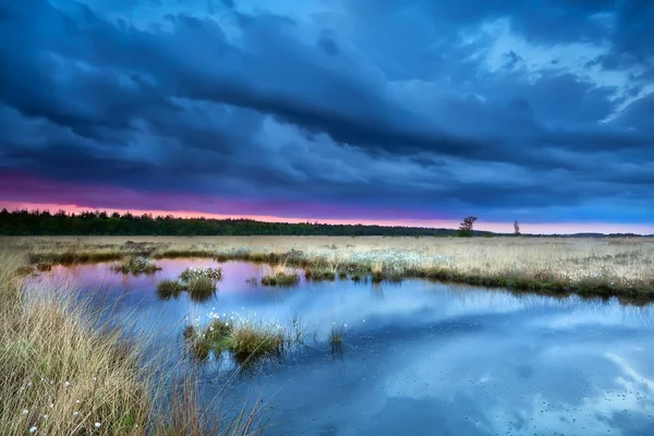 Tormenta sobre pantano al atardecer — Foto de Stock