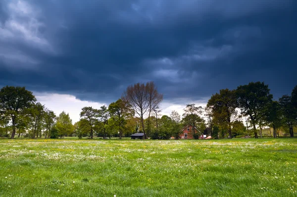 House on flowering meadow during storm — Stock Photo, Image