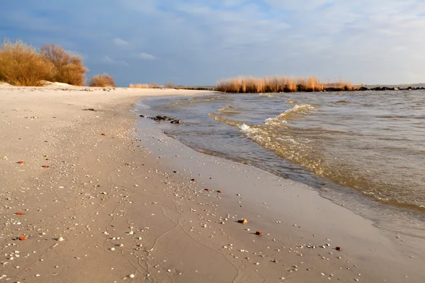 Plage de sable sur la mer du Nord, Hindeloopen — Photo