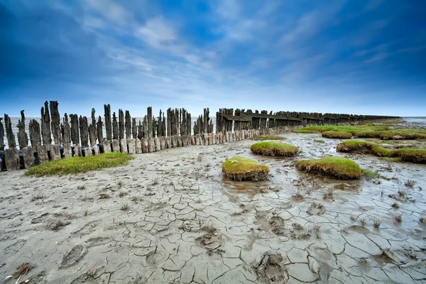 Lera vid lågvatten på waddensee, moddergat — Stockfoto