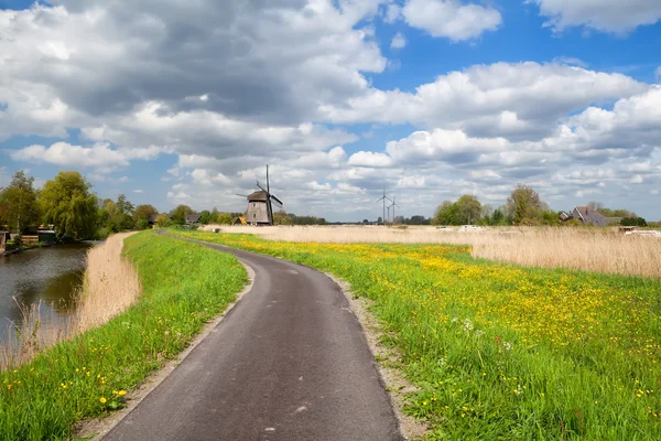 Yel değirmeni ve mavi gökyüzü, alkmaar için yol — Stok fotoğraf