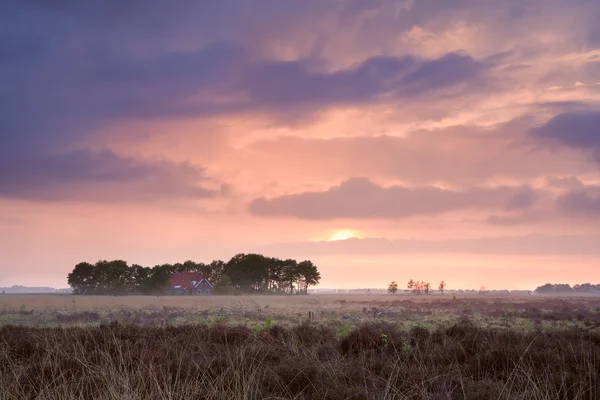 Calma rosa puesta de sol sobre el hogar entre los pantanos —  Fotos de Stock