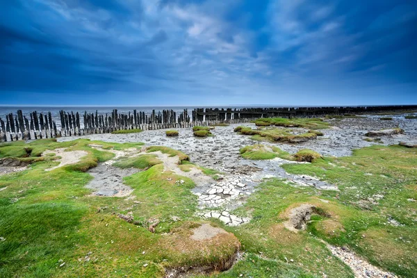 Modré zamračenou oblohou nad pobřeží bláto za odlivu — Stock fotografie