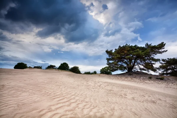 風の強い嵐の天気で砂のテクスチャ — ストック写真