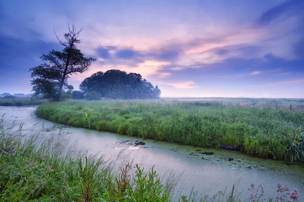 Misty morning on river — Stock Photo, Image