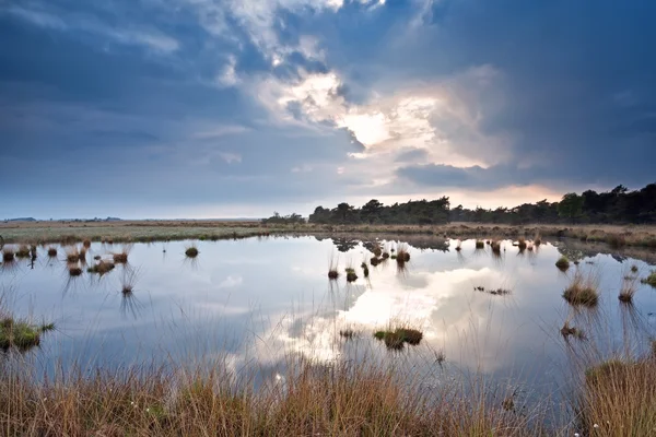 Cielo nuvoloso prima del tramonto sul lago selvaggio — Foto Stock