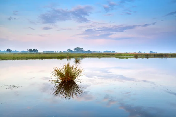 Amanecer azul y rosa en el lago —  Fotos de Stock