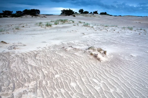 Texture di sabbia a tempo ventoso — Foto Stock
