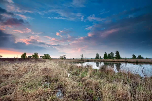 Cielo di tramonto sopra palude — Foto Stock