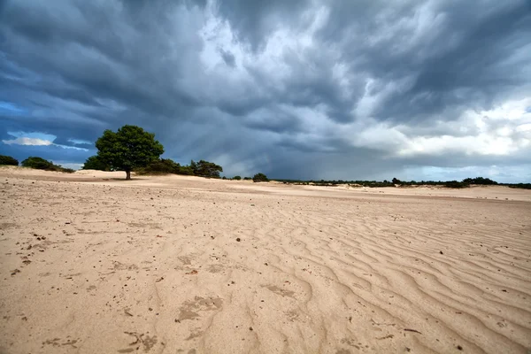 Dunkle, stürmische Wolken über Sanddünen — Stockfoto