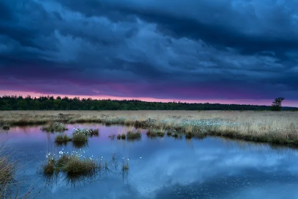 Pôr do sol durante tempestade sobre o pântano — Fotografia de Stock