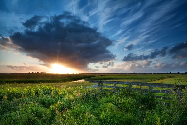 Bellissimo tramonto sui prati estivi — Foto Stock