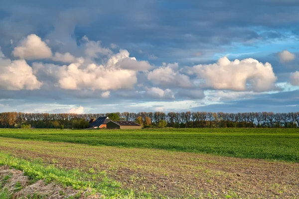 Поле, ферма и голубое небо — стоковое фото