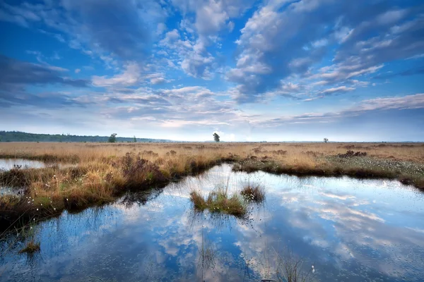 Wolkenlandschaft spiegelt sich in wildem See wider — Stockfoto