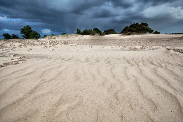 Texture di sabbia ventosa sulla duna — Foto Stock