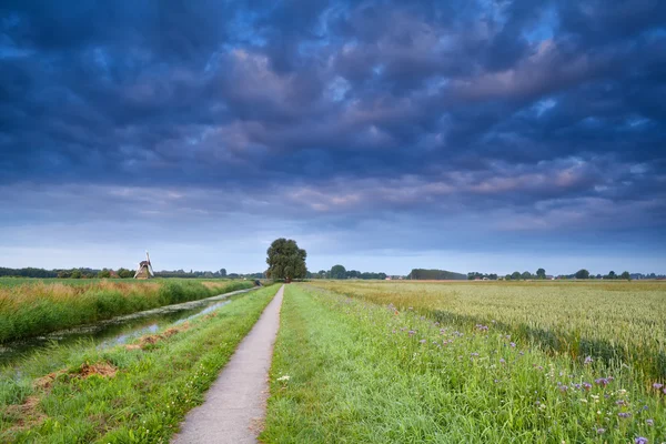 Road for bicycles in Dutch farmland — Stock Photo, Image