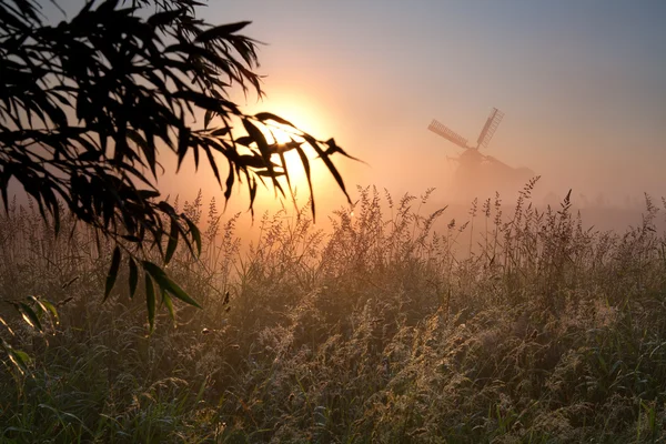 Утреннее солнце, силуэт виндмилла и туман — стоковое фото