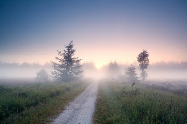 Estrada à terra em nevoeiro ao nascer do sol — Fotografia de Stock