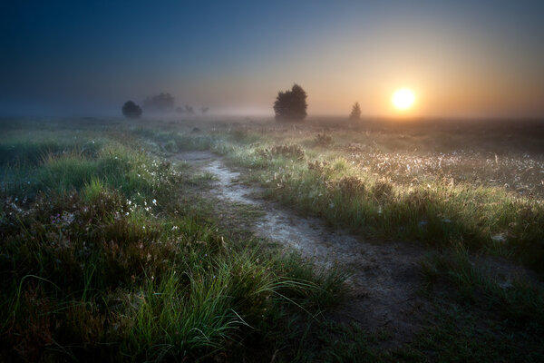 Misty sunrise over countryside path
