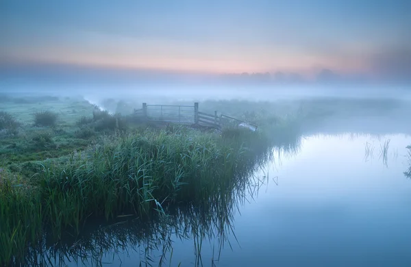 Nebbia sul fiume nei terreni agricoli — Foto Stock