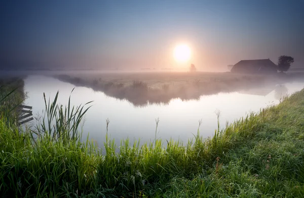 Mistige zonsopgang op Nederlandse landbouwgrond — Stockfoto