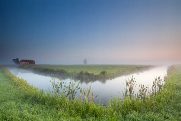 Verão calmo neblina manhã sobre o rio — Fotografia de Stock