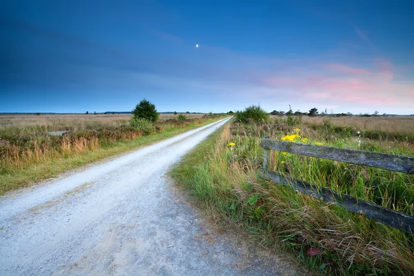 Landsbygden road i månskenet — Stockfoto