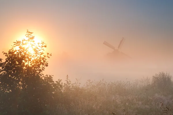 Holländische Windmühle im Nebel bei Sonnenaufgang — Stockfoto