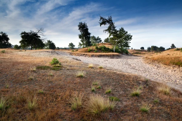 Pad onder zandduinen — Stockfoto