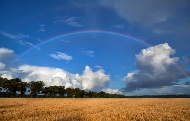 Gökkuşağının üstünde buğday alan sonra duş