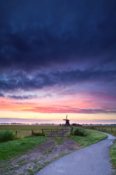 Kerékpár út a holland szélmalom — Stock Fotó