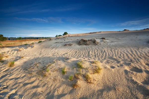 Zand textuur op Duin — Stockfoto