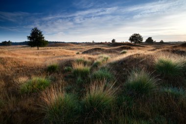 sabah güneş tepelerin üzerinden