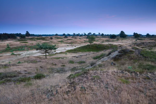 Collines au crépuscule — Photo