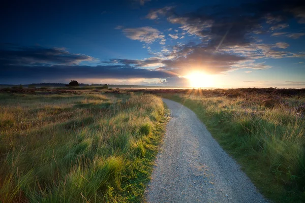 Morning sunbeams over rural road — Stock Photo, Image