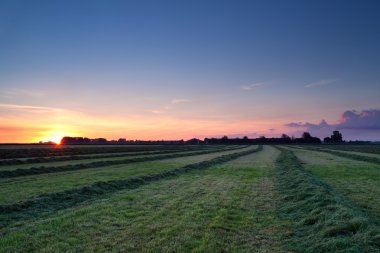 sunrise, saman satırları