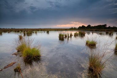 rainy sunset over swamps clipart