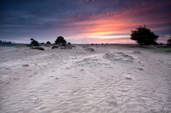 Dramático amanecer sobre dunas de arena — Foto de Stock