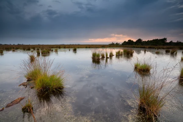 Regenachtige zonsondergang over moerassen — Stockfoto