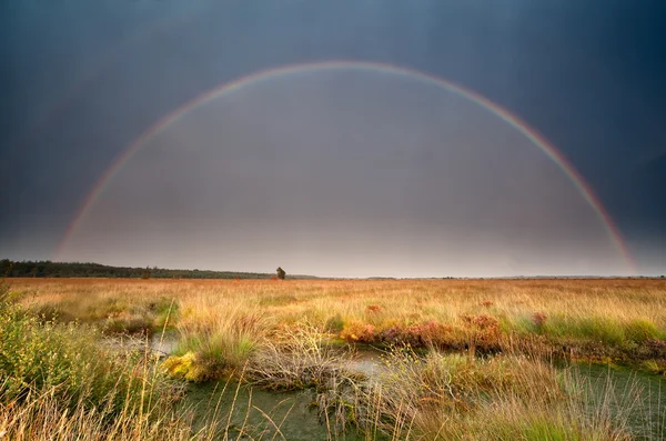 Großer Regenbogen über Moor nach Sommersturm — Stockfoto