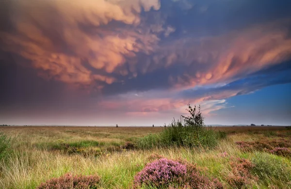 Dramatische lenticulaire wolken bij zonsondergang — Stockfoto
