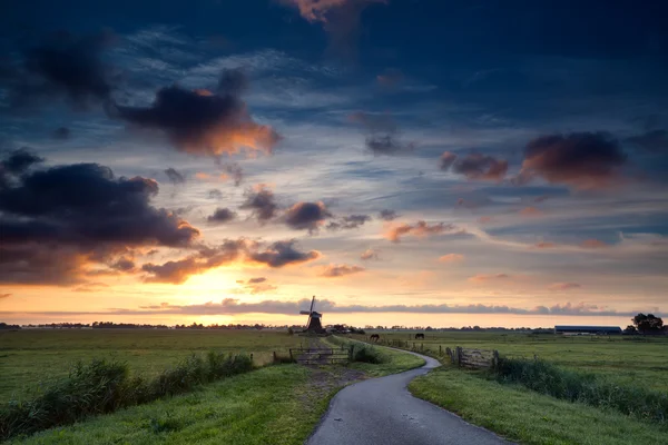 Schöner Sonnenaufgang über holländischer Windmühle und Weide — Stockfoto