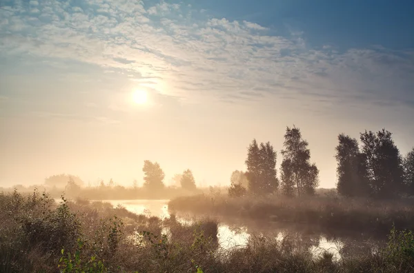 Soluppgång över dimmiga myren — Stockfoto