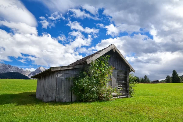 Dřevěná chata na zelené vysokohorské louky — Stock fotografie
